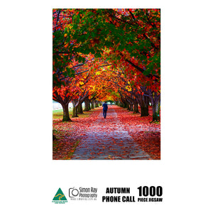 Jigsaw puzzle - Autumn Phone Call