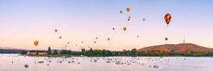 Flight